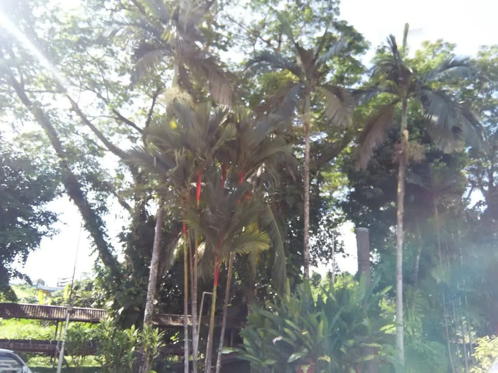 Telang Usan Hotel - photo 17