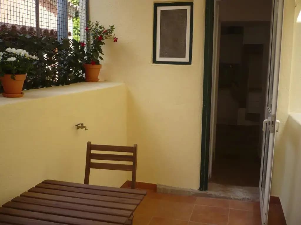 Olival 178 - photo 10