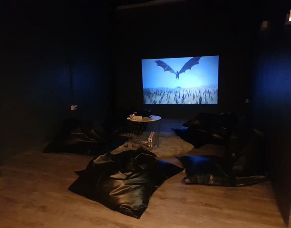 The Cocoon Hostel - photo 2