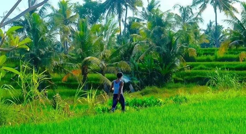 Bali Suksma Villa - photo 18