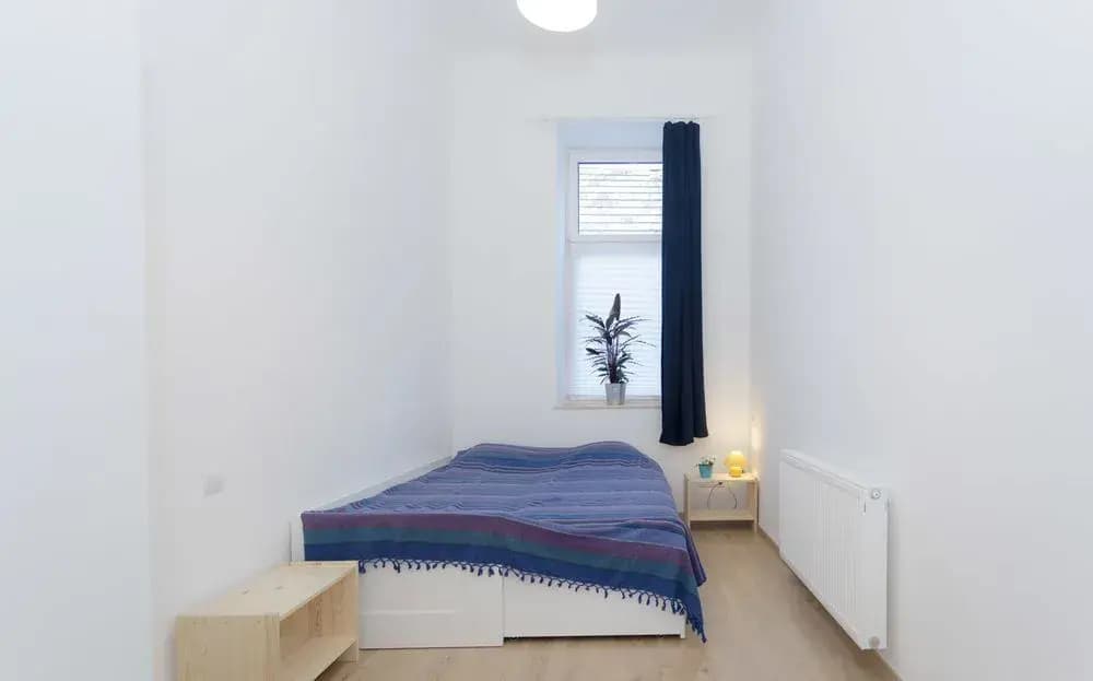 Souper Apartments Jozsefvaros - photo 5