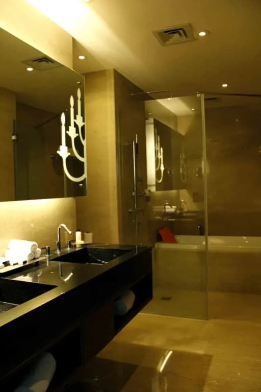 IIDL Suites New Delhi - photo 9