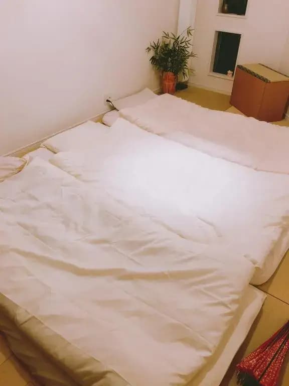 QIQI House - photo 1
