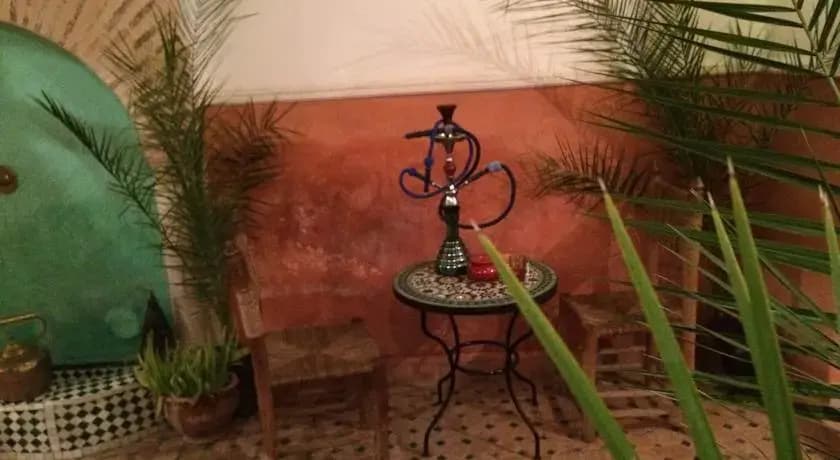 Riad Slima - photo 5