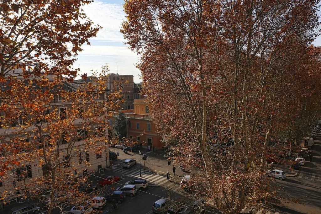 Casa Sotgiu Guest House - photo 13