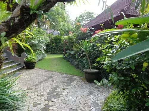 Klub Kokos Bungalows - photo 25
