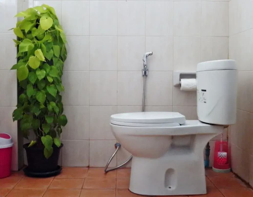 White Rabbit - Hostel - photo 4