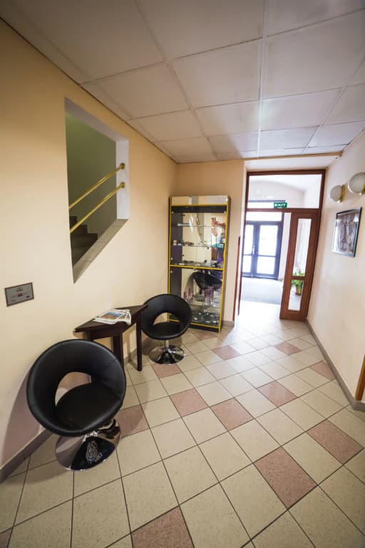 Hotel Dalimil - photo 13
