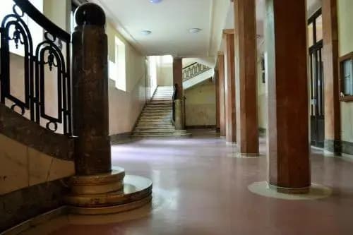 Pulse Jackquaters - photo 11