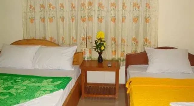 Prohm Roth Guesthouse - photo 2