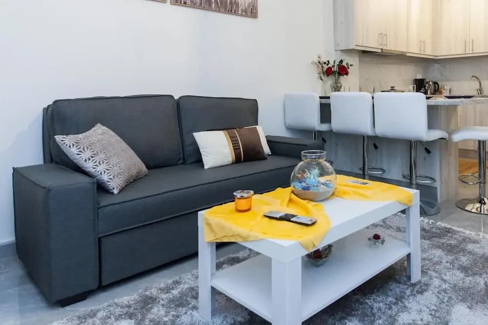 Ano Kipseli Athens Gem 1 Bd Apt for 4 - photo 10