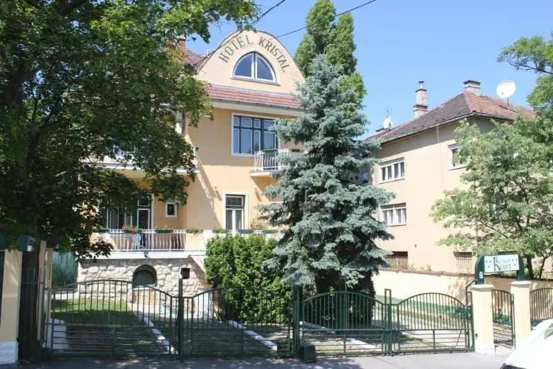 Kristal - photo 40