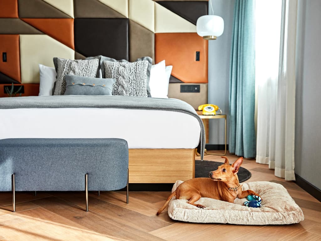 Kimpton Vividora Hotel by IHG - photo 7