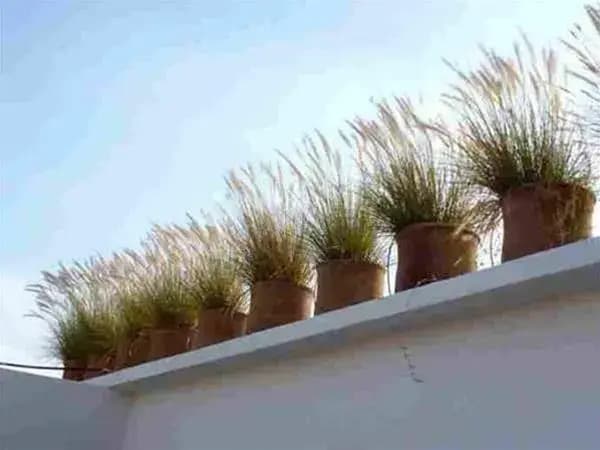 Riad Maiya - photo 7