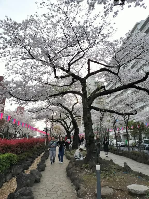 Hotel Belle Via Tokyo - photo 44