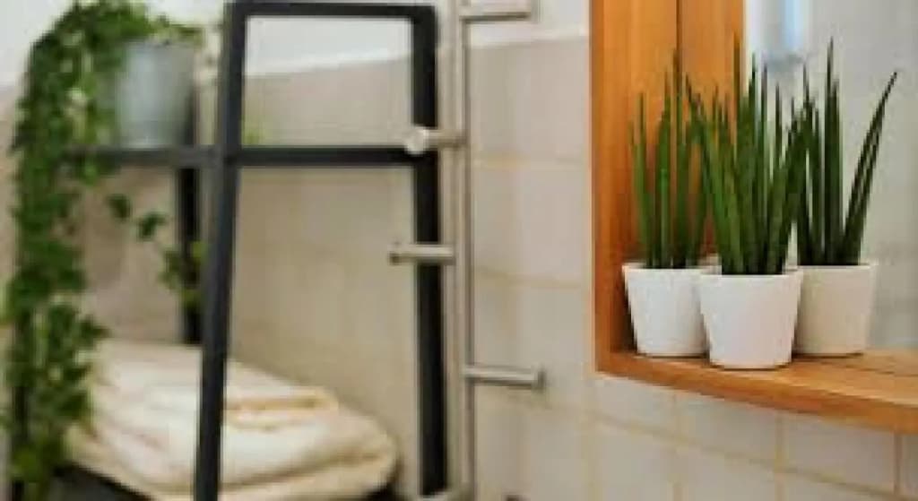 Guesthouse Amici Miei - photo 8