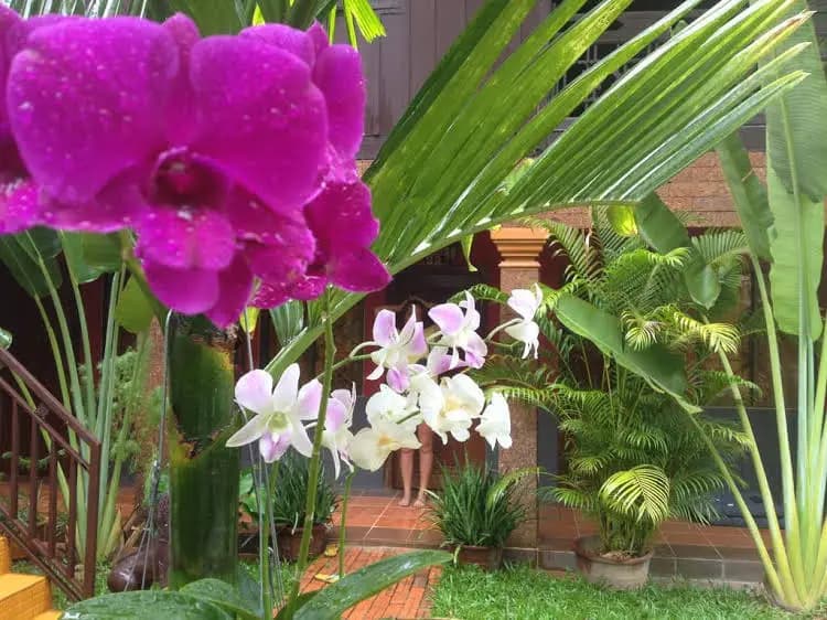 Molina Hotel - photo 22