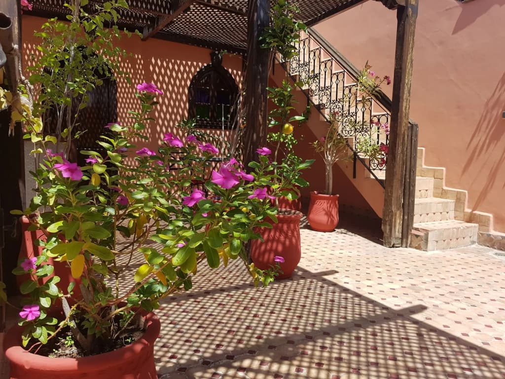 Riad Balkisse - photo 22