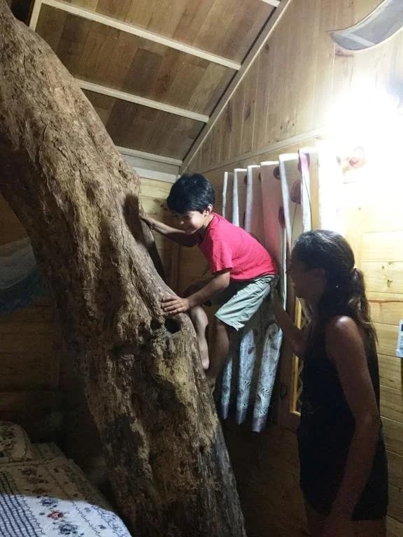 Giraffa Phu Quoc - photo 18