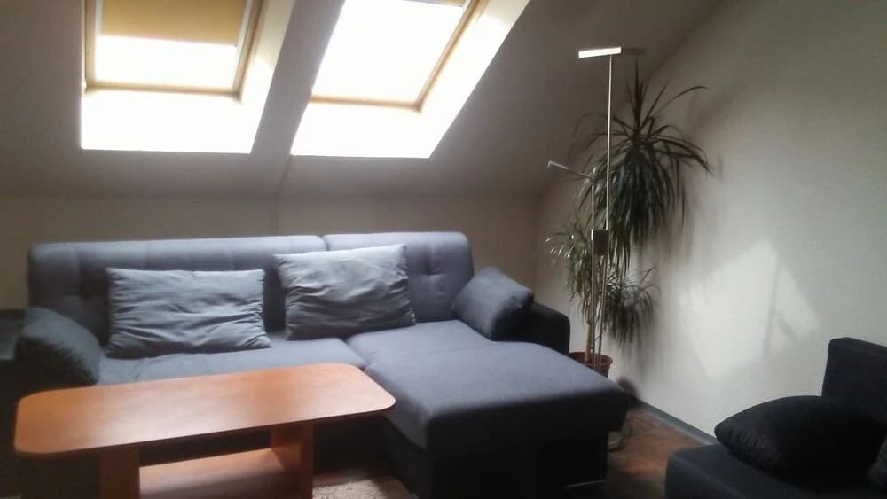 Smeralova Apartments - photo 12