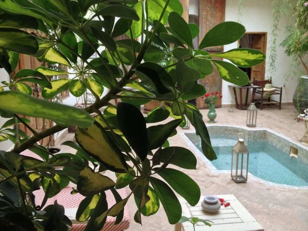 Riad Le Coq Berbere - photo 23