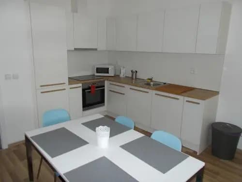 Top Wenceslas Square Apartment - photo 17