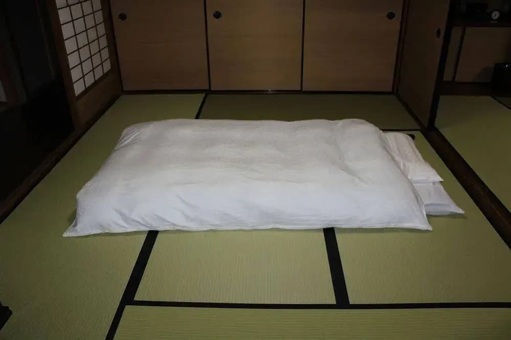 Denshin An - photo 5