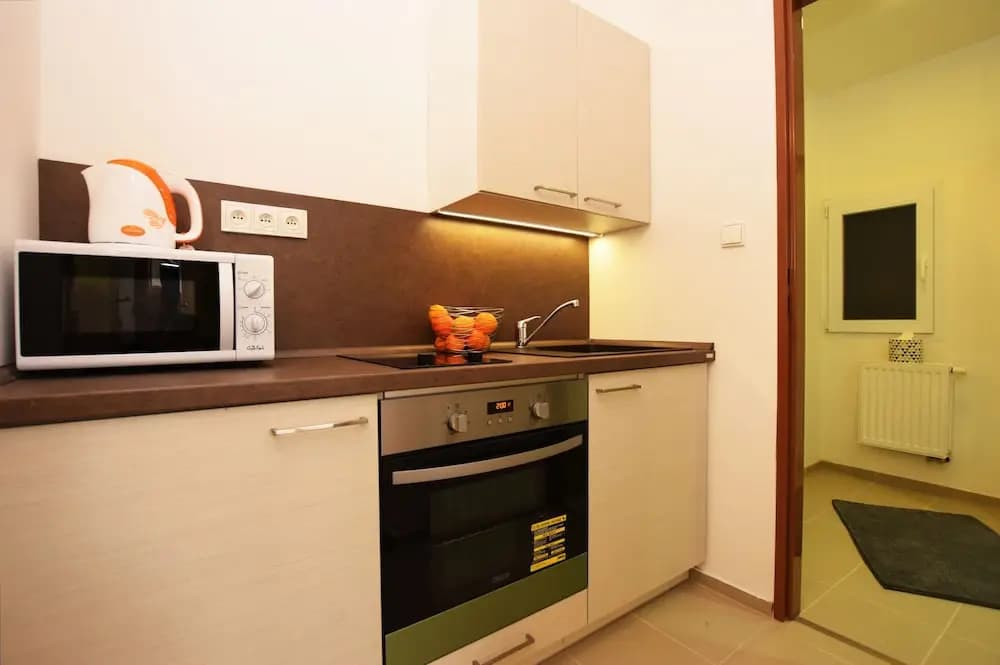 Císařka apartment - photo 17