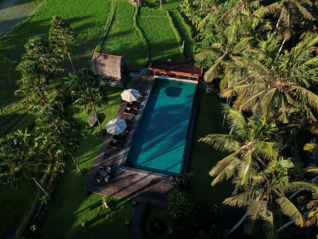 The Artini Dijiwa Ubud - photo 13