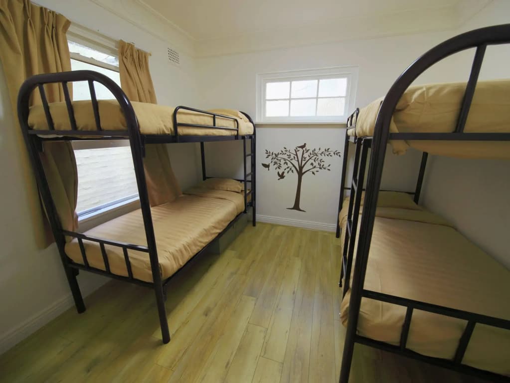 Cozy M Hostel - photo 4