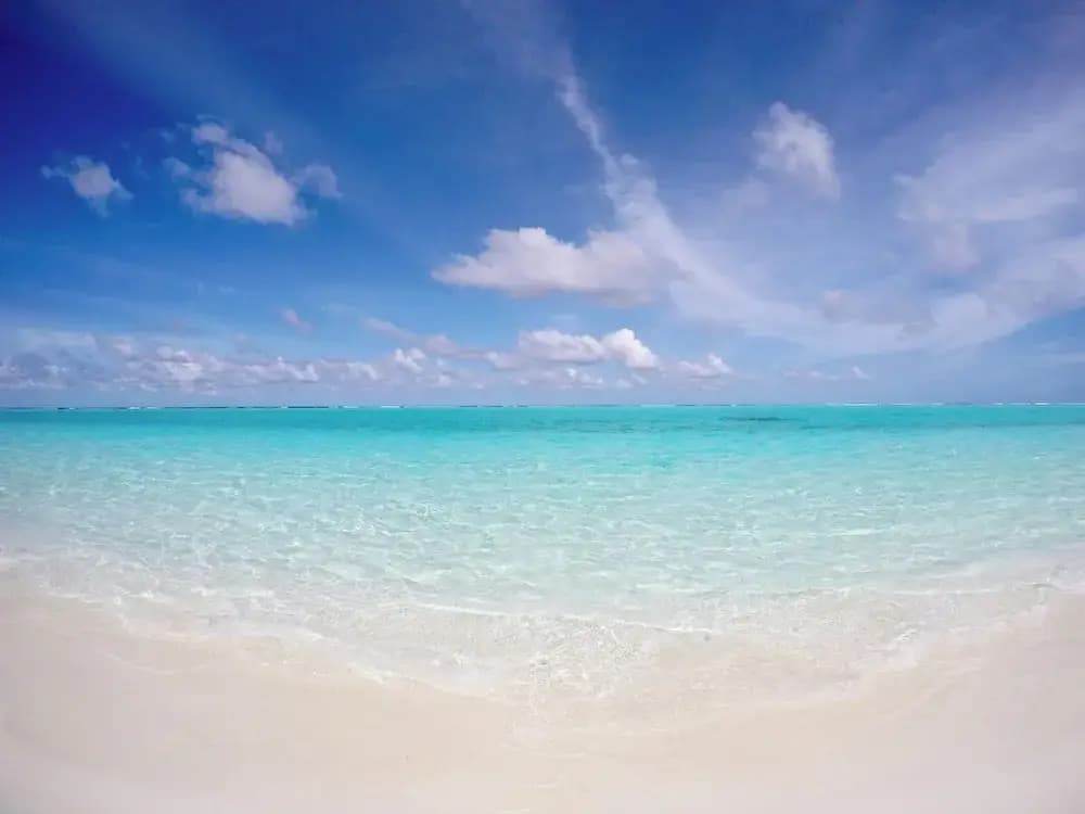 Hakuna Maldives - photo 8