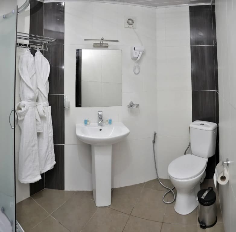 L Plaza Hotel - photo 8