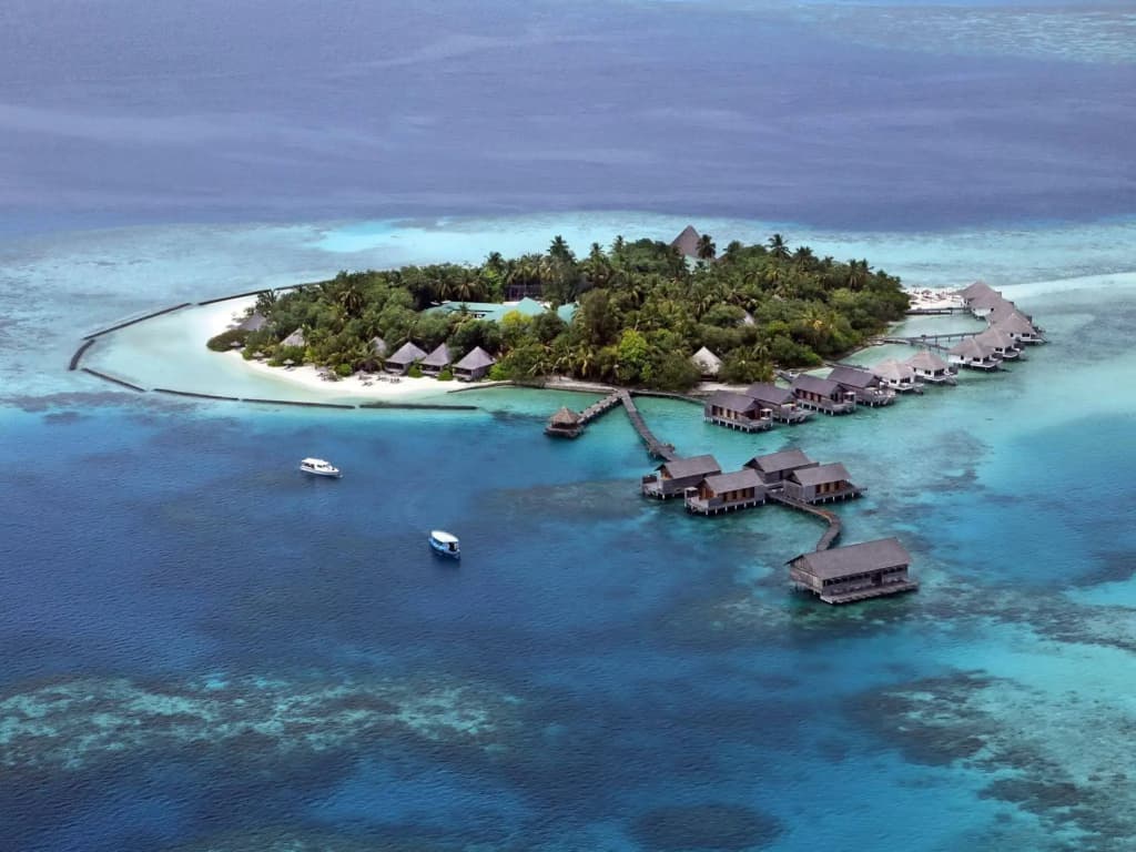 Gangehi Island Resort - photo 28