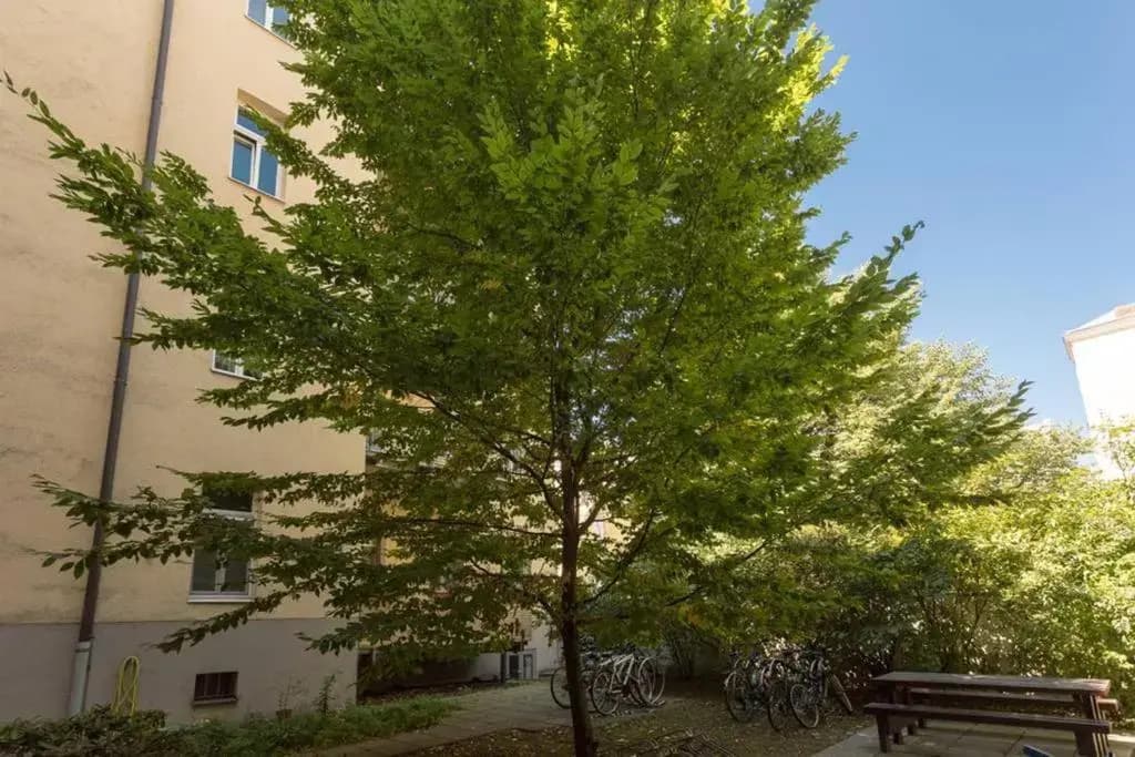 Spacious Vienna Central Station Residence - photo 13