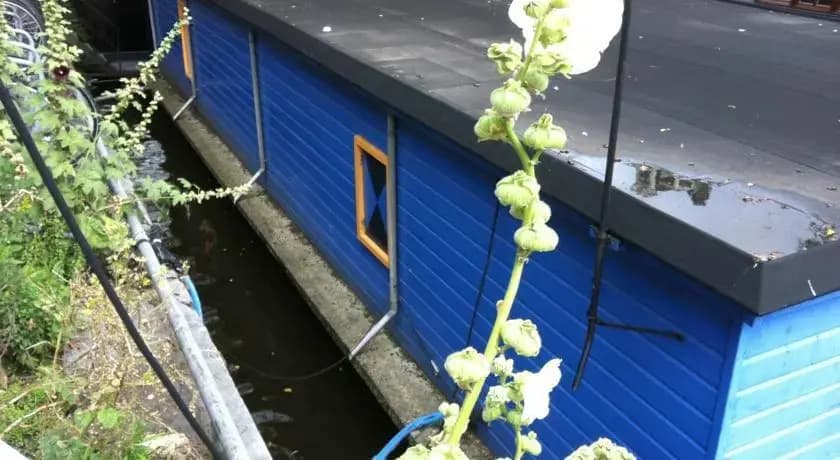 The Blue Houseboat - photo 8