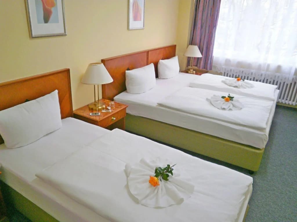 Hotel Amadeus Central - photo 5