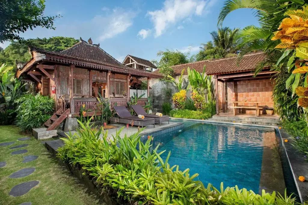 The Meranggi - photo 18