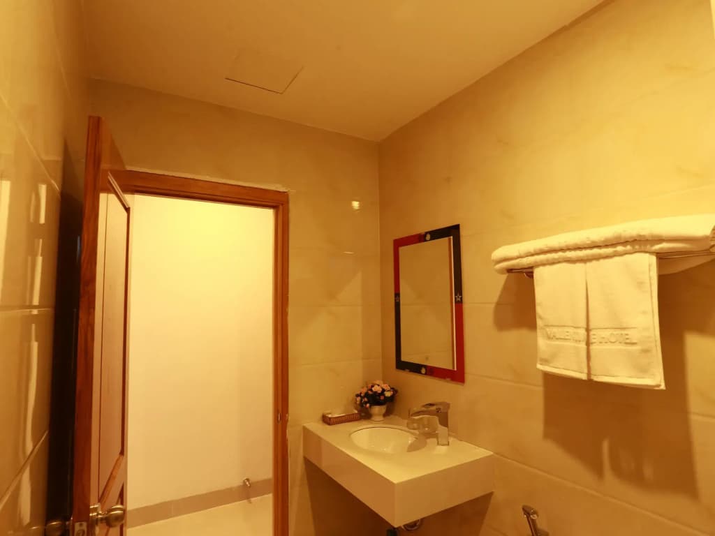 Valentine Hotel - photo 8