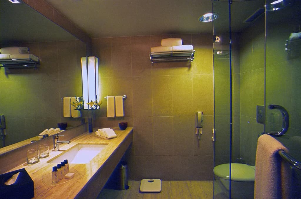 Svelte Delhi, a member of Radisson Individuals - photo 8