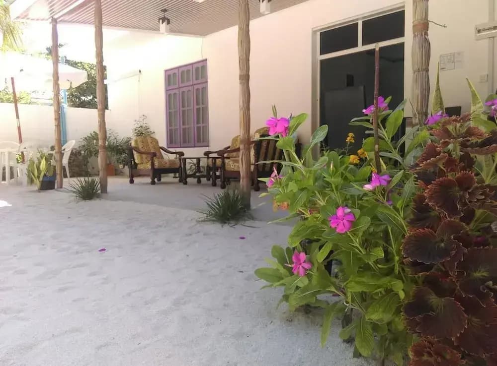 Palm Garden - photo 19