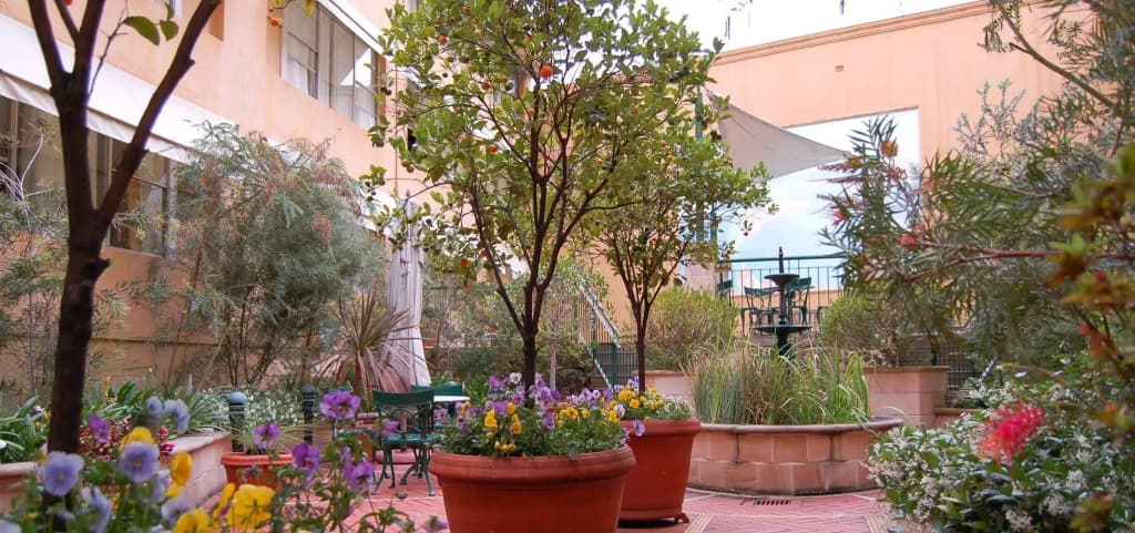 Oxford House - photo 11