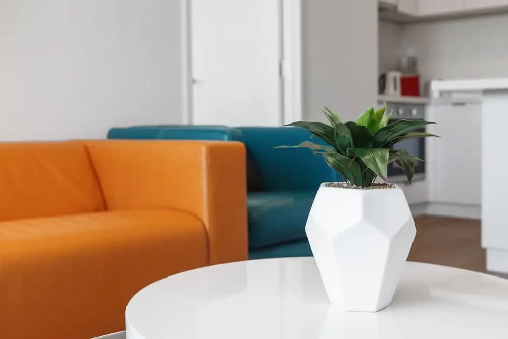 Ilixir Apartments by Ready Set Host - photo 12