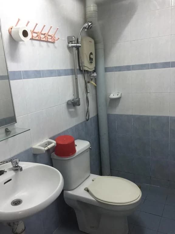 Angsa Hotel - photo 7