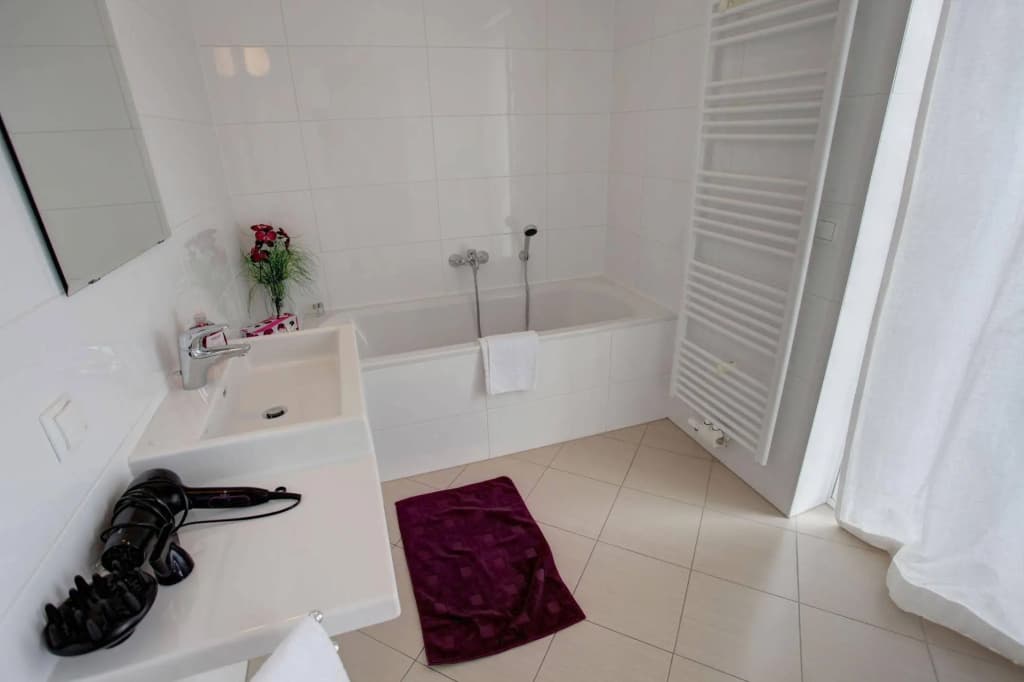 Gasser Apartments Vienna - photo 9