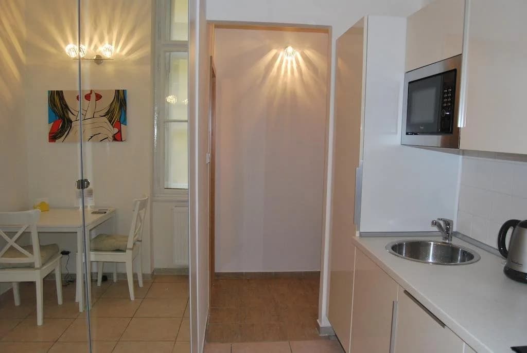 Hybernska Apartments - photo 11