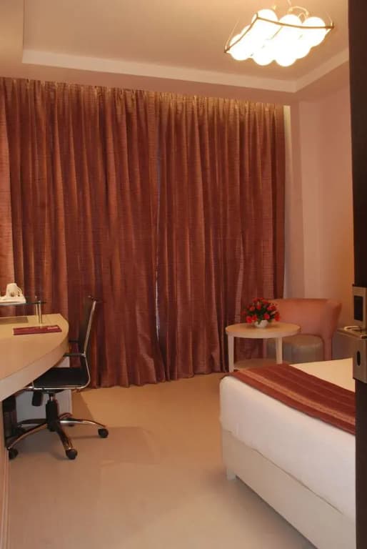 Sarovar Portico Naraina Delhi - photo 43