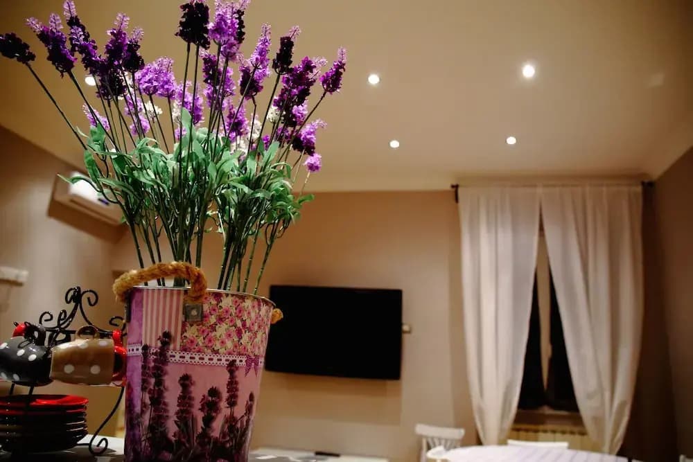 All Suite Colosseo - photo 2