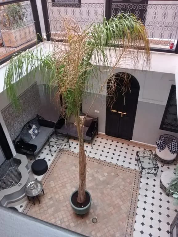 Riad étoile ocre - photo 1