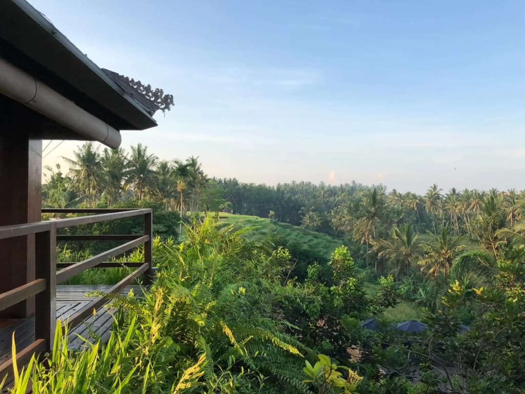 Soulshine Bali - photo 9