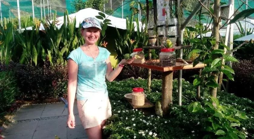 T Garden - photo 16